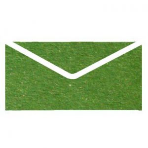 Botanic Metallic Invitation Envelopes