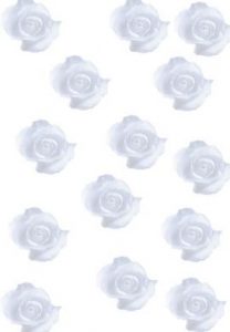Blue Scattered Roses Translucent Invitation Paper