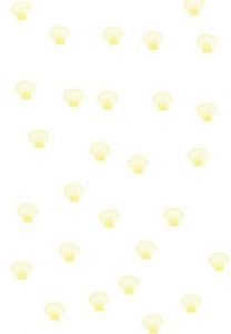 Yellow Seashells Translucent Invitation Paper