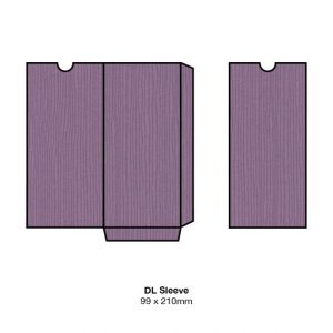 Eggplant Zsa Zsa Textured Invitation Pocket
