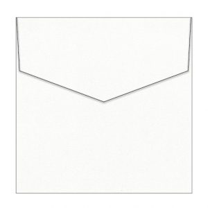 Milk Bath Metallic Invitation Envelopes
