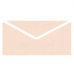 Nude Metallic Invitation Envelopes