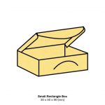 Sunshine Metallic Bonbonniere Box