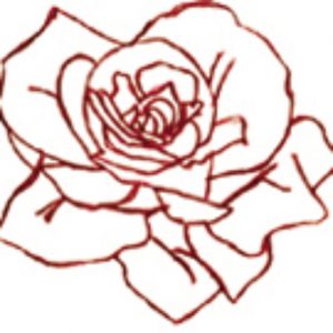cropped-Rose-only-red.jpg