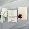 WEDINV83 Ivory Pocket Invitation with Ivory Ribbon and Red Rose with insert