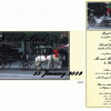 WEDINV124 Horse and Cart DL Double Sided Printed Invitation