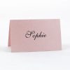 PLACAR125 Baby pink individual Place Card