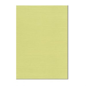 ZsaZsa Chartreuse A4 paper