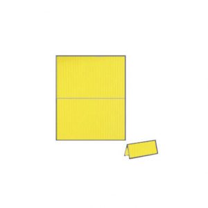 yellow crocum vise versa DIY placecard
